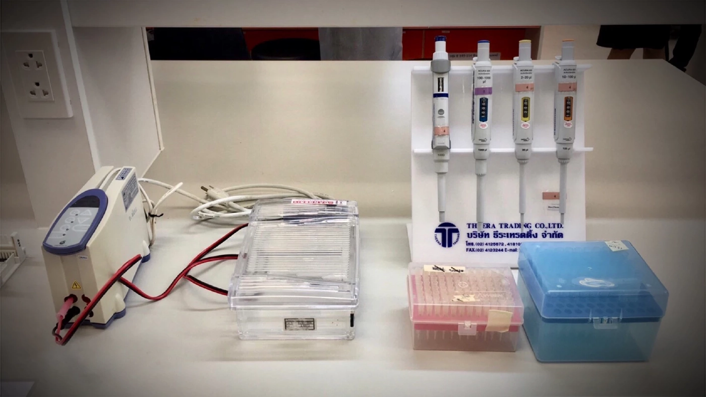 ม.อ.พัฒนาชุดตรวจโรค "เมลิออยโดสิส" ในแพะ ลดการเกิดโรคจากแพะสู่คน