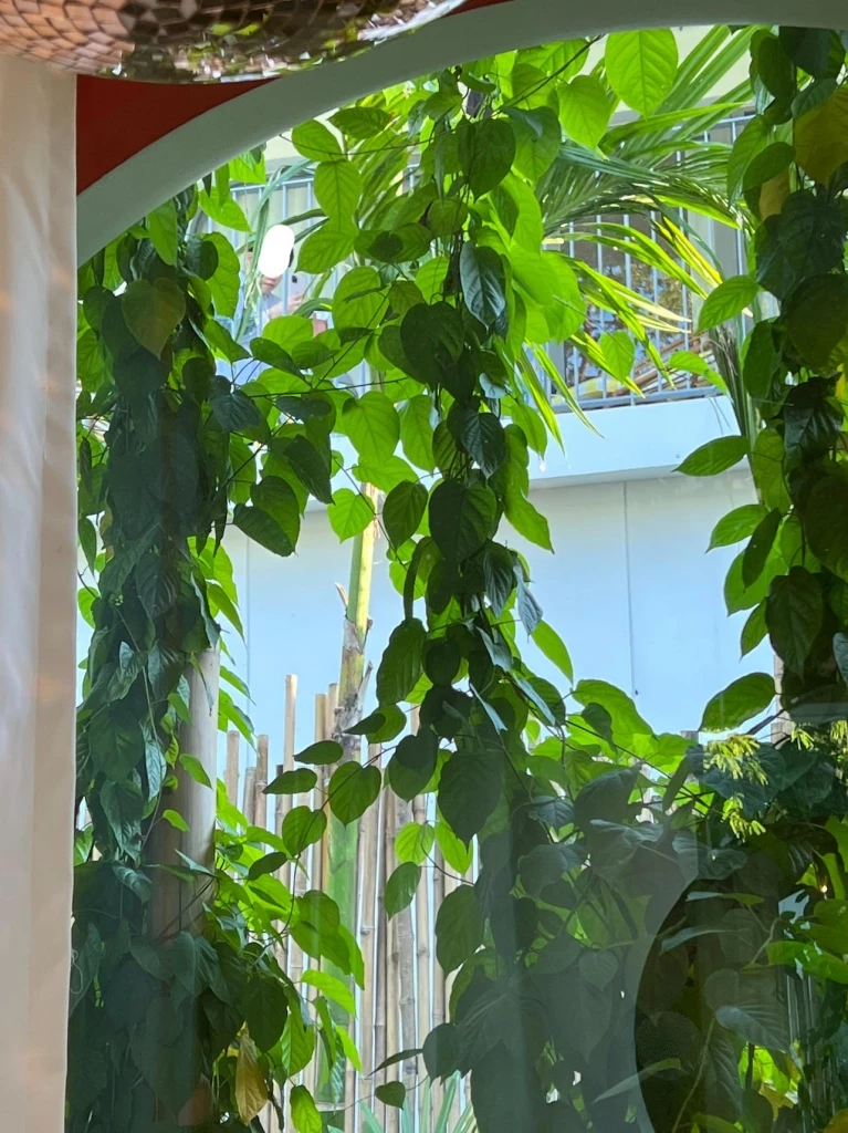 หนุ่มสุดทนรีวิวโรงแรมดัง ถูกแอบส่องได้จากทุกมุม 