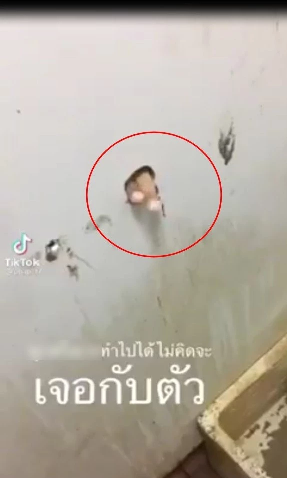 ผงะ! เจอ "นิ้วปริศนา" โผล่ทะลุรูในห้องน้ำสาธารณะ 