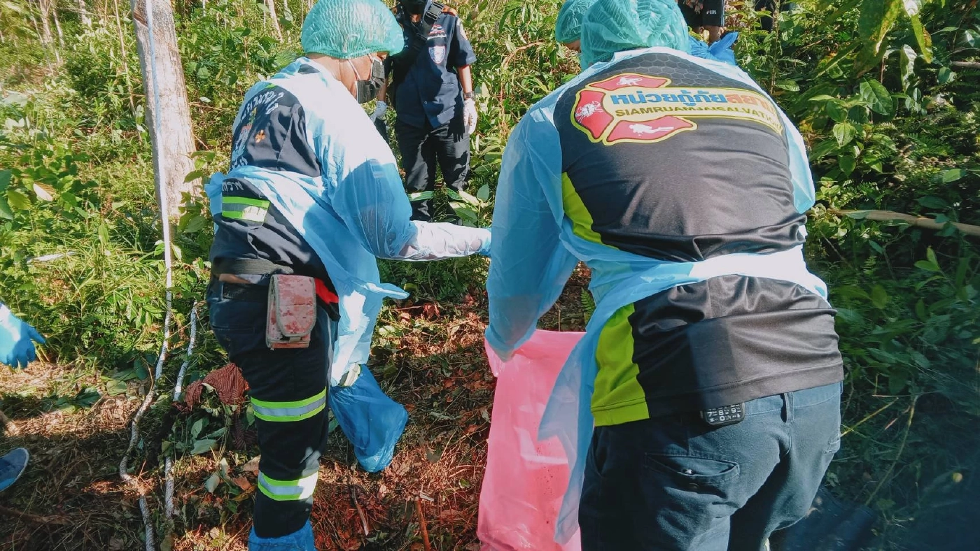 ช้างพลายคลั่งตกมันกระทืบควาญเสียชีวิต