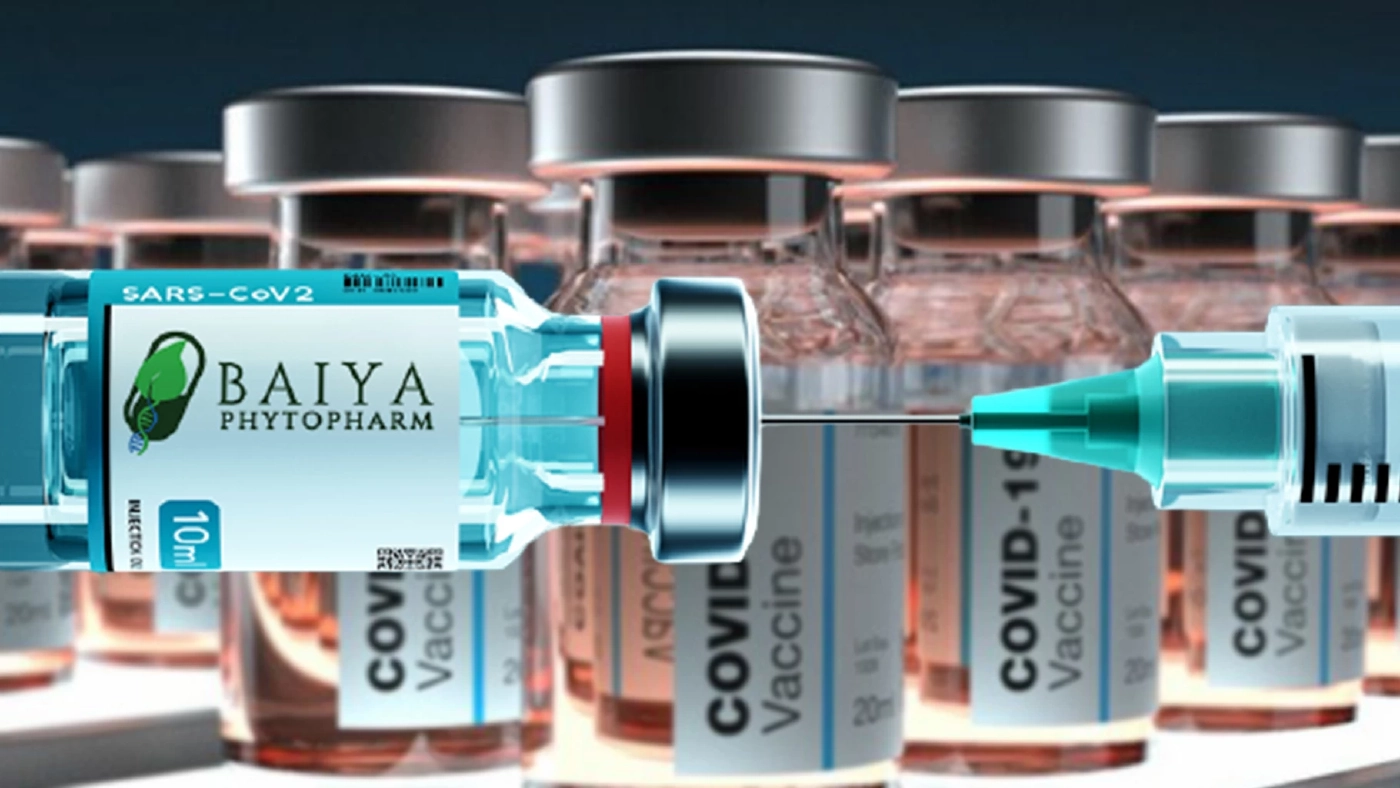 นักวิจัย เผย "โอมิครอน" ไม่กระทบการผลิตวัคซีนใบยา