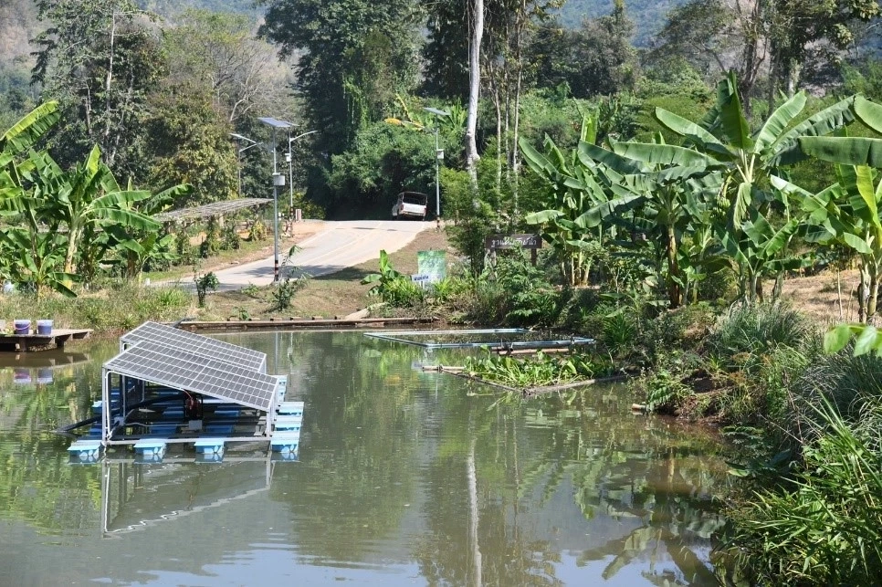 “โคก หนอง นาโมเดล” ทางรอดสู่ “ความยั่งยืน” ด้วย “ความพอเพียง”