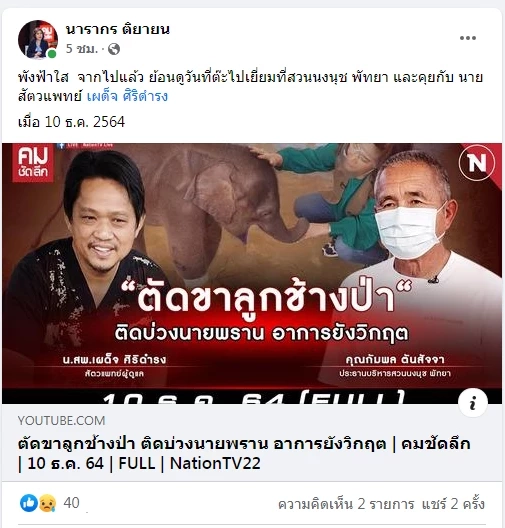 ต๊ะ นารากร โพสต์เศร้าหลังทราบข่าวช้างน้อยวัย 3 เดือน พังฟ้าใสตายแล้ว