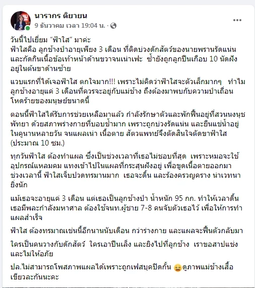 ต๊ะ นารากร โพสต์เศร้าหลังทราบข่าวช้างน้อยวัย 3 เดือน พังฟ้าใสตายแล้ว