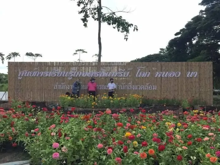 กทม. จัดกิจกรรมปลูกไม้ยืนต้นเนื่องในวันพ่อแห่งชาติ และวันสิ่งแวดล้อมไทย