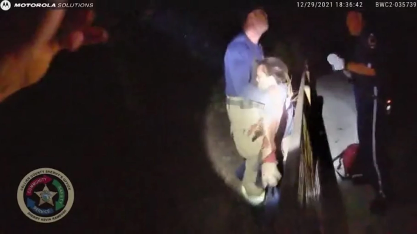 เรื่องเศร้า! เสือต้องตายเพราะคนไร้สำนึก