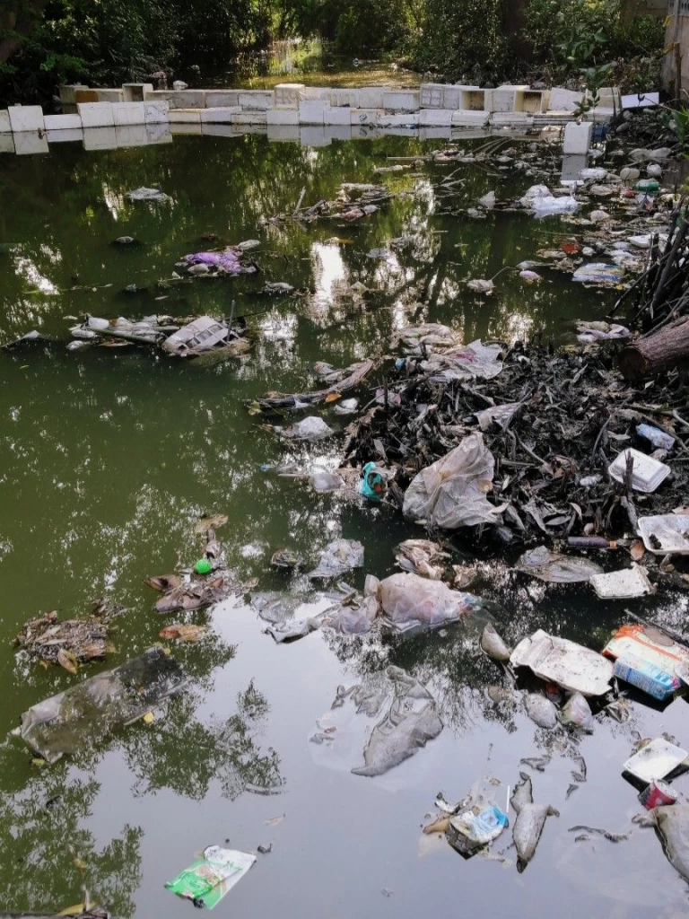 วิกฤติขยะพลาสติกในลำคลอง สู่ทะเลอ่าวไทย