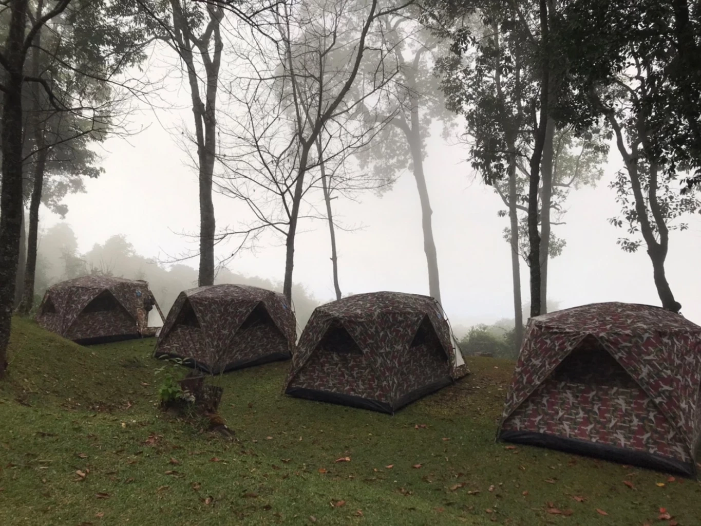 คืนเคานท์ดาวน์นักเที่ยวนับหมื่นคนแห่ฉลองบนดอยเชียงใหม่