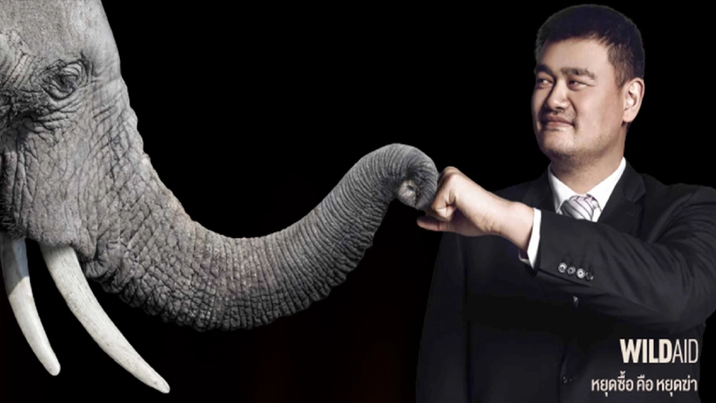 แฟ้มภาพ : รณรงค์หยุดค้างาช้าง