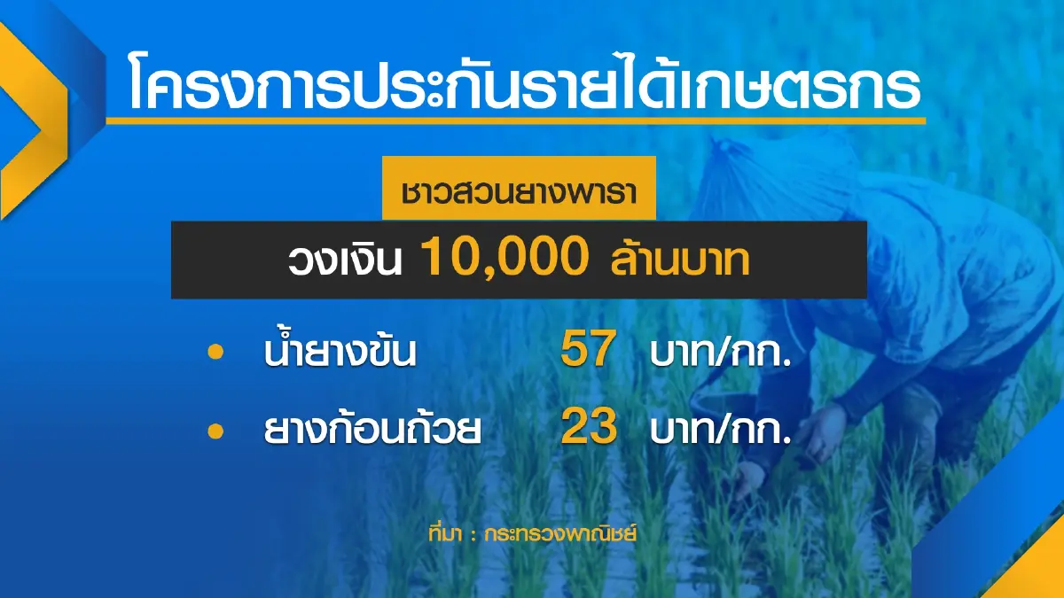 ครม.อัด 8 หมื่นล้านจ่ายเงินชาวนา 31 งวด