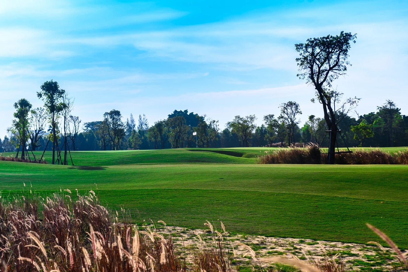 กลุ่มสยามกลการ เปิดสนามกอล์ฟแห่งใหม่ สนามที่ 5  “สยามคันทรีคลับ แบงคอก”