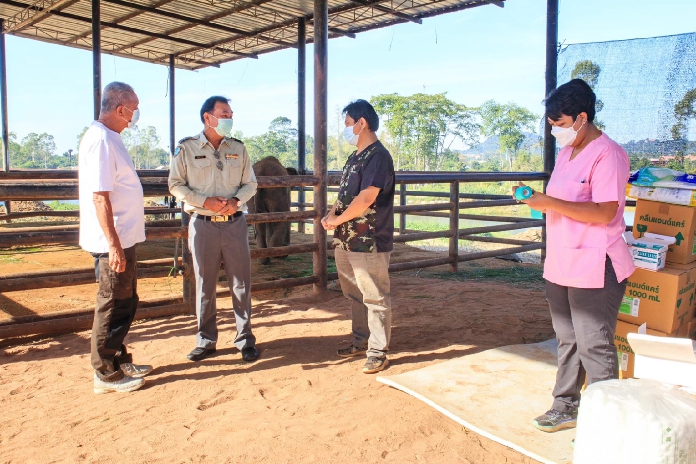 "พังฟ้าใส" ลูกช้างป่าโดนบ่วงรัด ทีมสัตวแพทย์ดูแลอย่างใกล้ชิดพบเริ่มมีอาการดีขึ้น