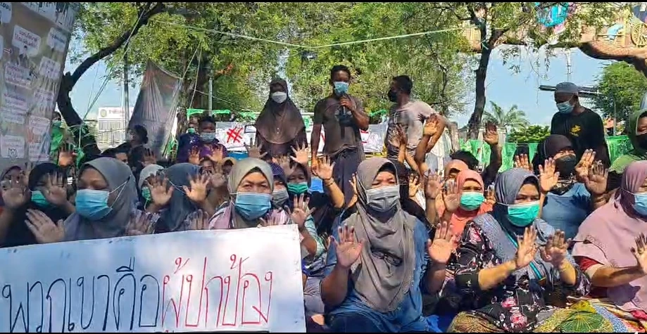 เครือข่ายจะนะรักษ์ถิ่น ประกาศบุกทำเนียบ 13 ธ.ค.นี้ ย้ำไม่เซ็น SEA ไม่กลับ