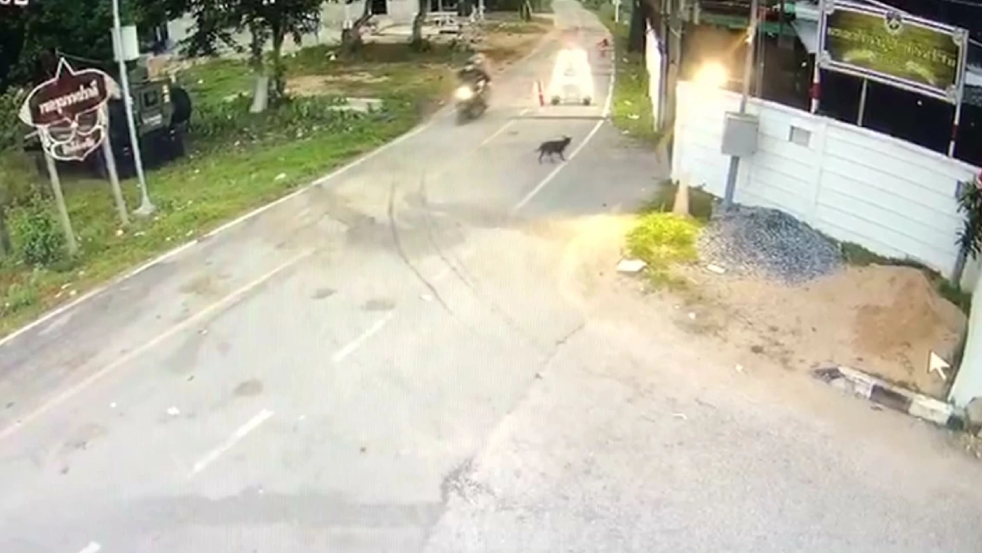 โจรใต้ป่วนหนัก! ลอบวางระเบิดฐาน นปพ.รือเสาะ