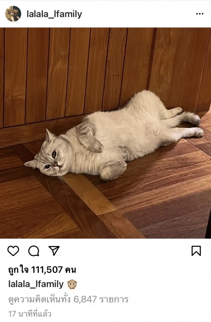 ต้นสังกัดเผย ‘ลิซ่า BLACKPINK’ หายป่วยโควิดแล้ว