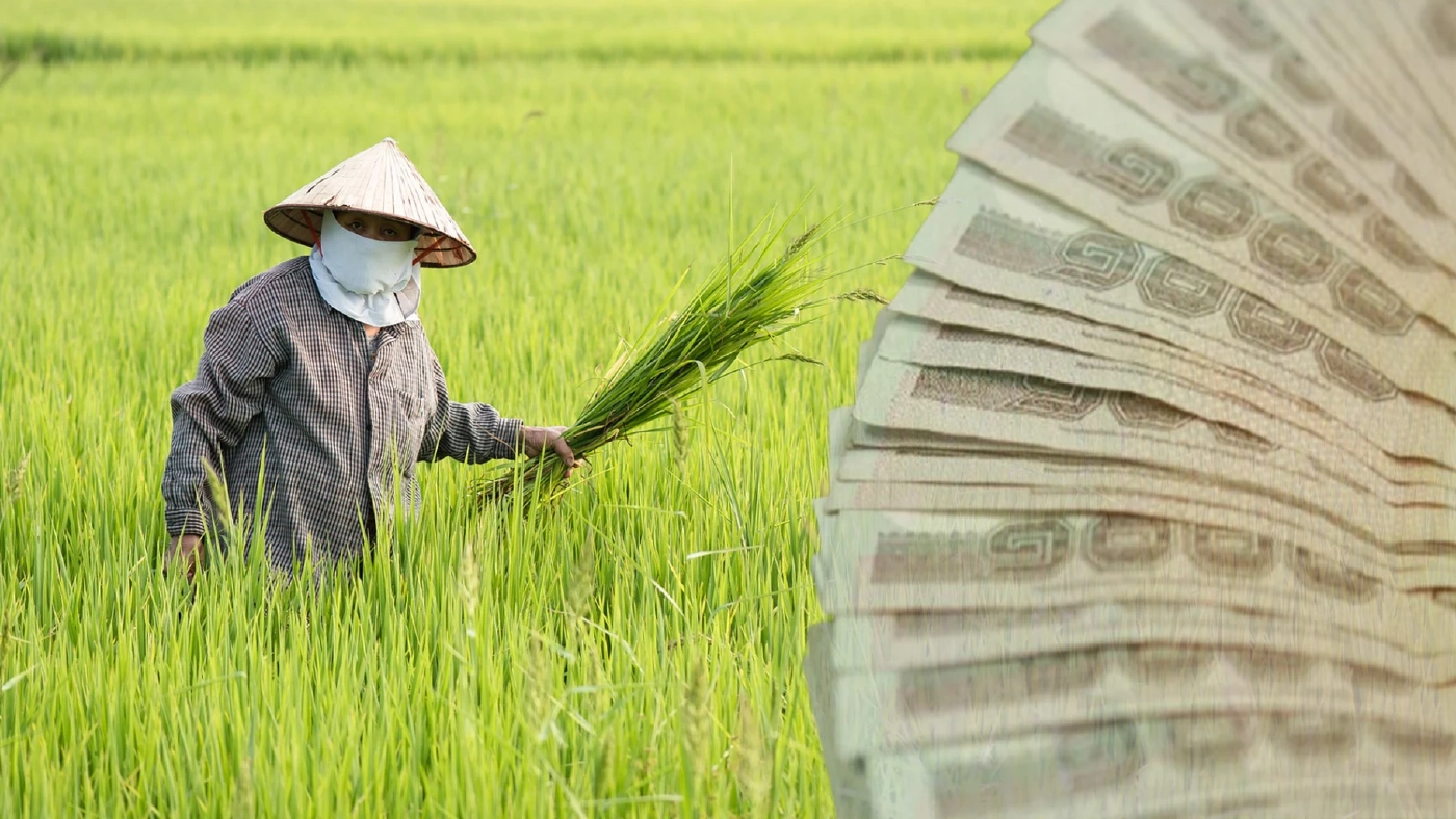 เปิดไทม์ไลน์จ่ายเงินประกันรายได้ “ข้าว - ยางพารา” ช่วยเหลือเกษตรกร