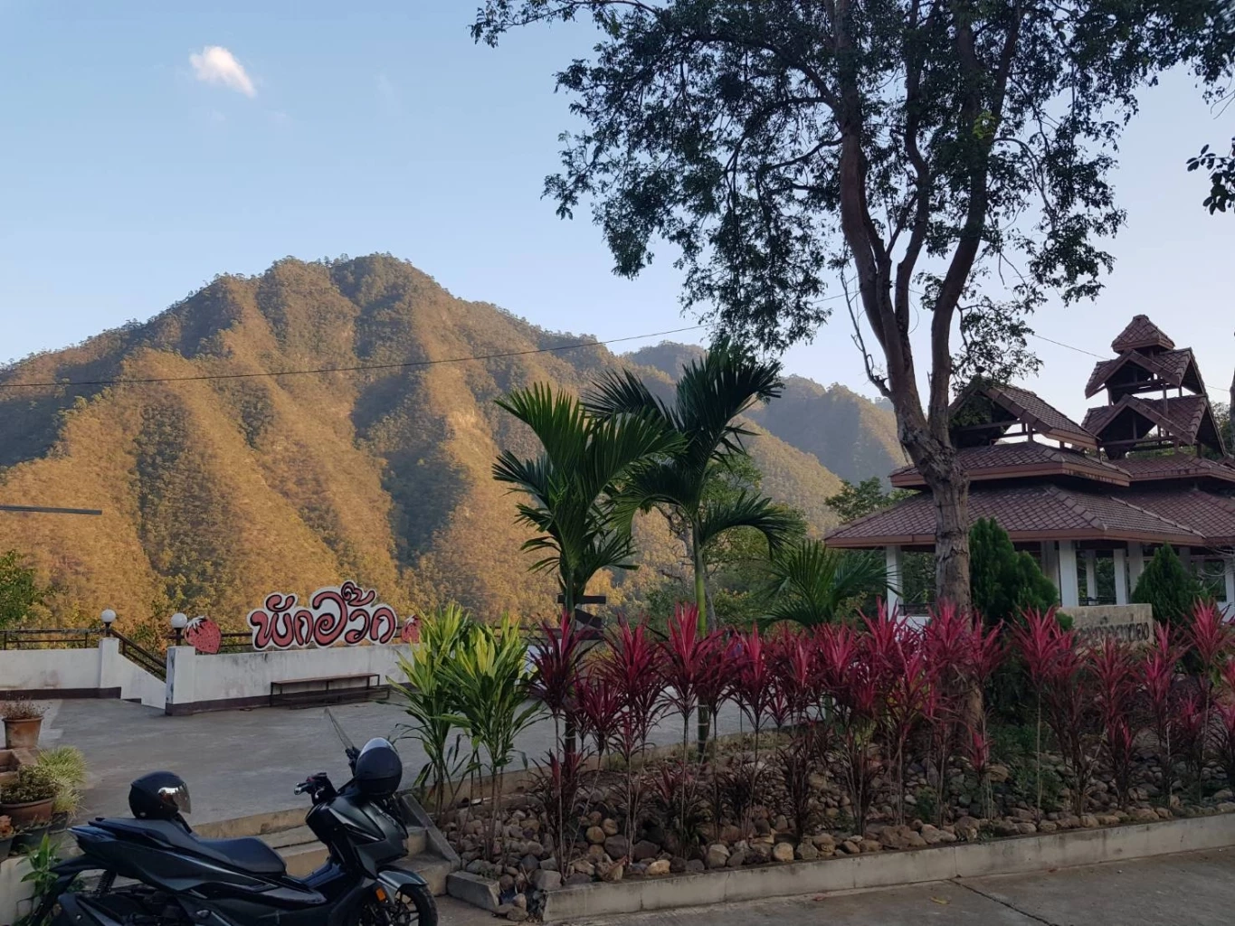 แจกพิกัด! เส้นทางสายธรรมชาติ สัมผัสหมอก-ชมพระอาทิตย์