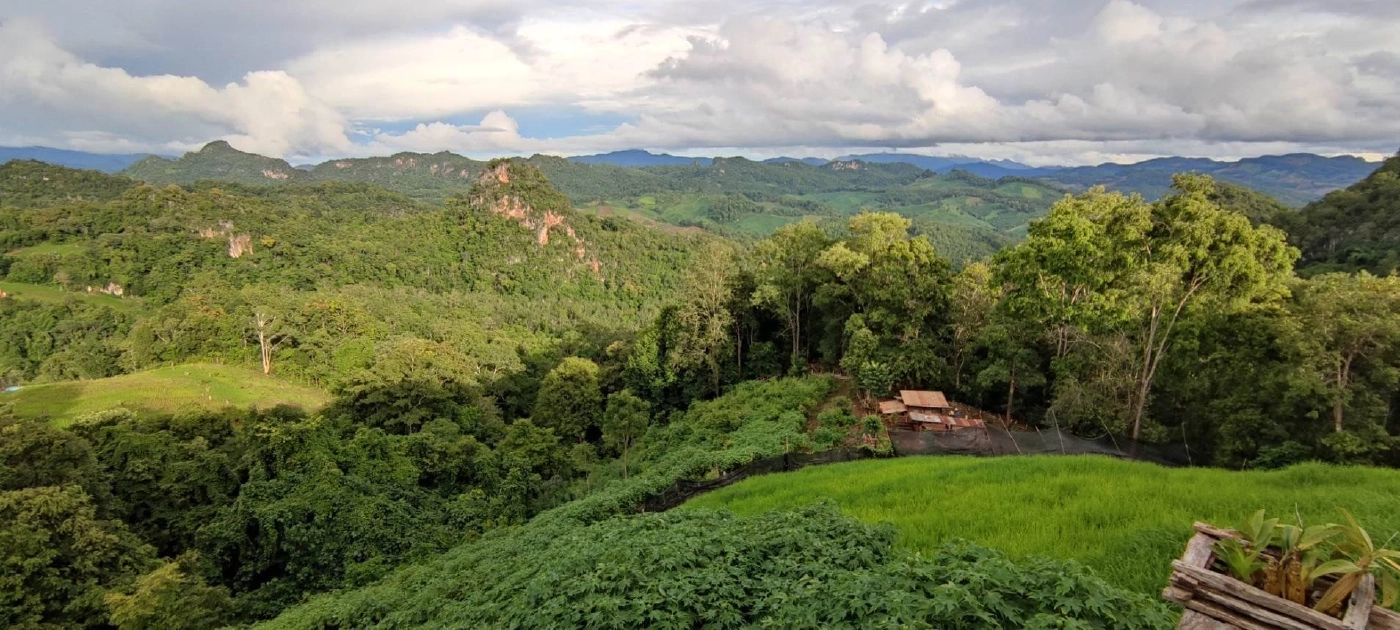 แจกพิกัด! เส้นทางสายธรรมชาติ สัมผัสหมอก-ชมพระอาทิตย์