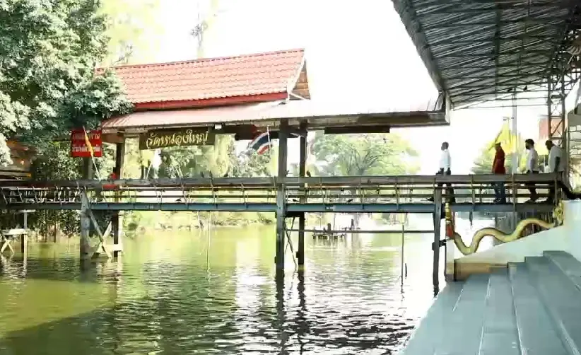 โวยโจรเมืองกรุงแสบย่องขโมยปลาวัดที่อยู่ริมคลองได้ปลาไปขายวันละเป็นตัน