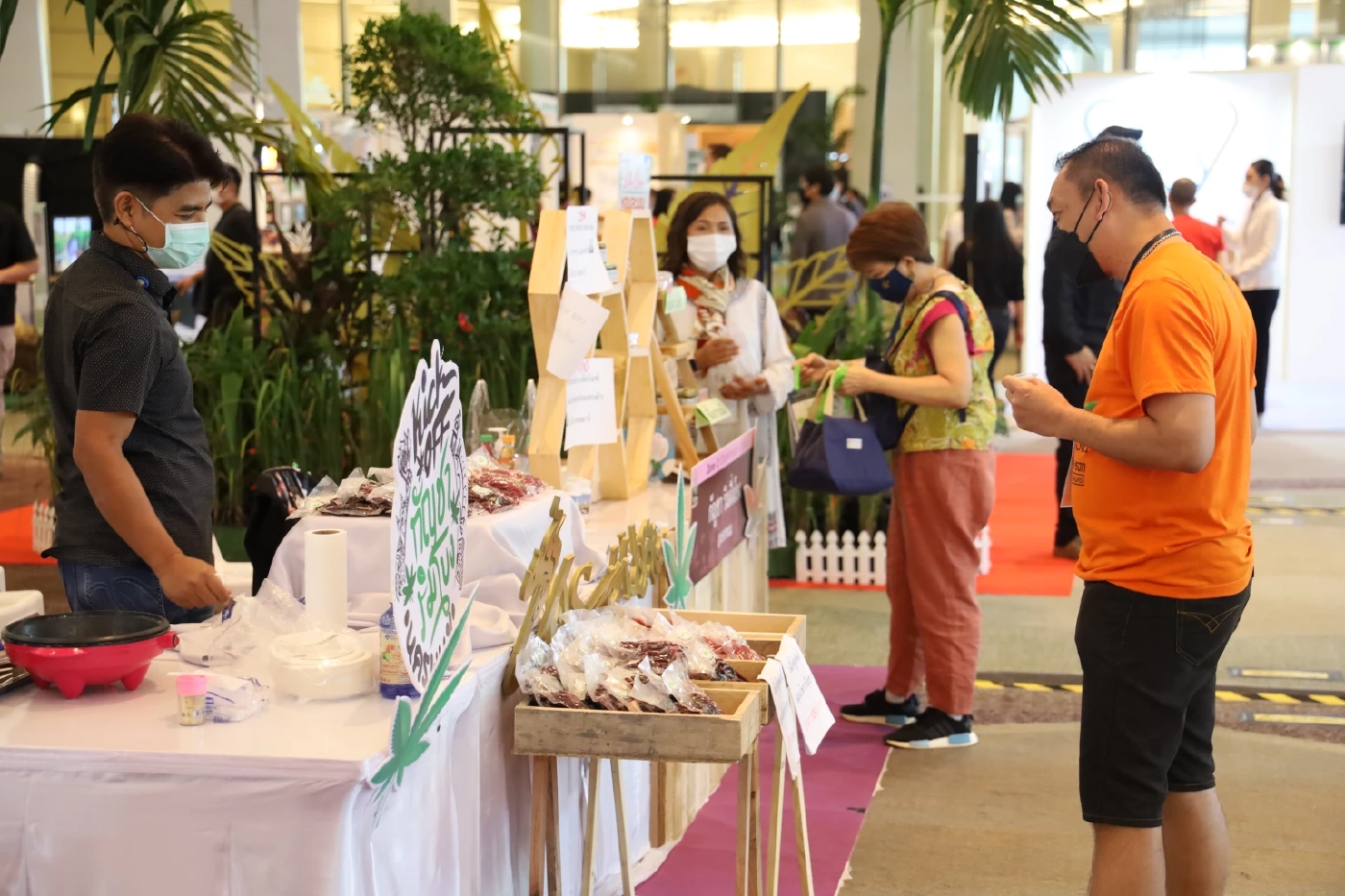 มหกรรมสมุนไพรแห่งชาติ ชู “กัญชา" เป็น "พืชเศรษฐกิจสร้างชาติ"