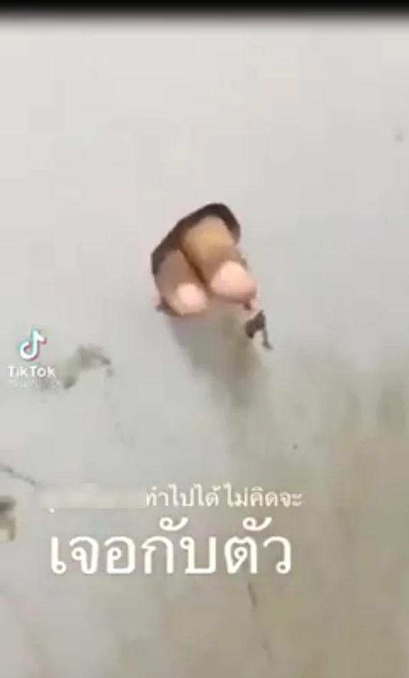 ผงะ! เจอ "นิ้วปริศนา" โผล่ทะลุรูในห้องน้ำสาธารณะ 