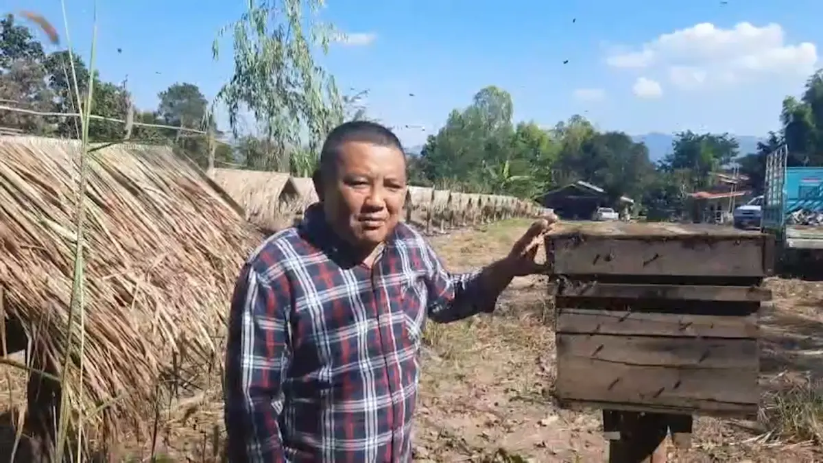 รีสอร์ทผึ้งป่า! ทำเงินปีละกว่าล้านบาท