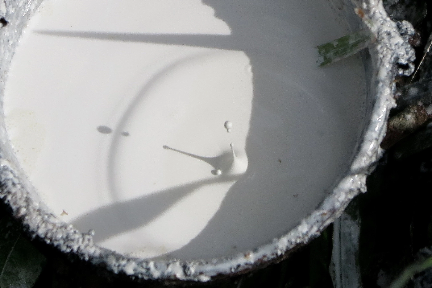 ครม. อนุมัติประกันรายได้เกษตรกรชาวสวนยาง ระยะที่ 3 วงเงิน 10,065.69 ล้านบาท