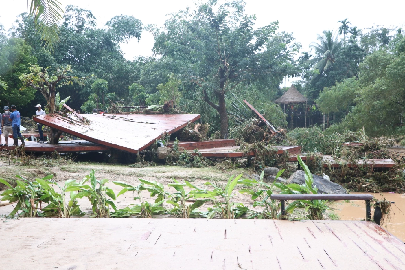 น้ำป่ารุนแรงสุดในรอบ 40 ปี ผู้ว่าฯพัทลุงเตือนที่ราบลุ่มระวังน้ำท่วม