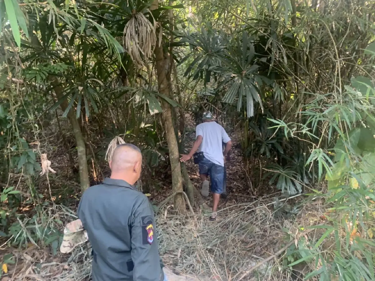 ภาค2เจ๋งรวบลอบตัดไม้พยุงพร้อมของกลางก่อนตั้งข้อหาหนักจับยัดซังเต