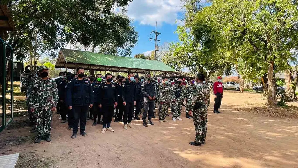จับช้างป่าสีดอแก้ว ช้างอินดี้ เข้าสถานกักกันช้างป่าเขาตะกรุบ