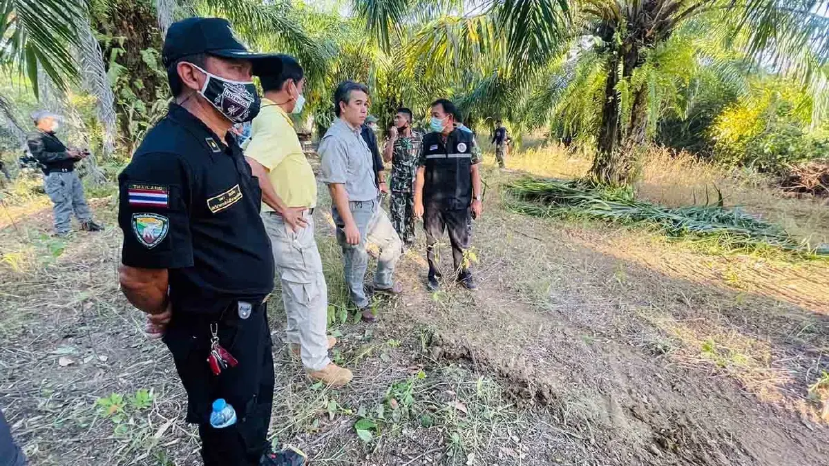 จับช้างป่าสีดอแก้ว ช้างอินดี้ เข้าสถานกักกันช้างป่าเขาตะกรุบ