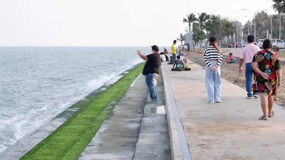 สนั่นโซเชียล แห่ชมพรมสาหร่ายสีเขียวชายหาดปากน้ำปราณ พบเกิดแค่ปีละครั้ง