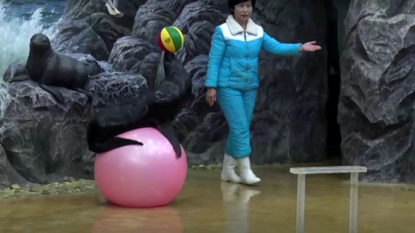 ส่องสวนสัตว์กลางในเกาหลีเหนือ ได้รับความนิยมจากเด็ก-ประชาชน