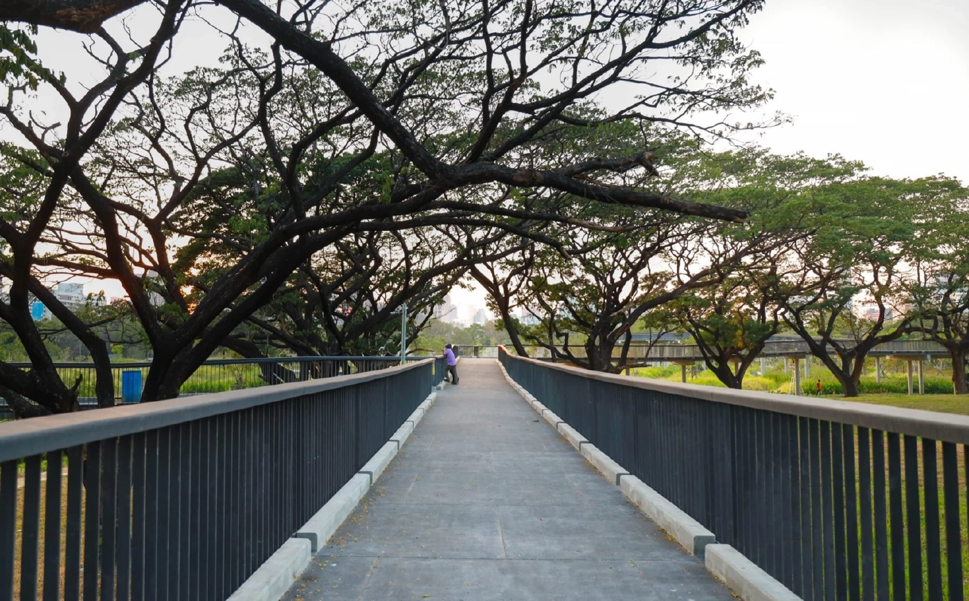 สวนป่า “เบญจกิติ” ปอดแห่งใหม่ของคนกรุงเทพฯ