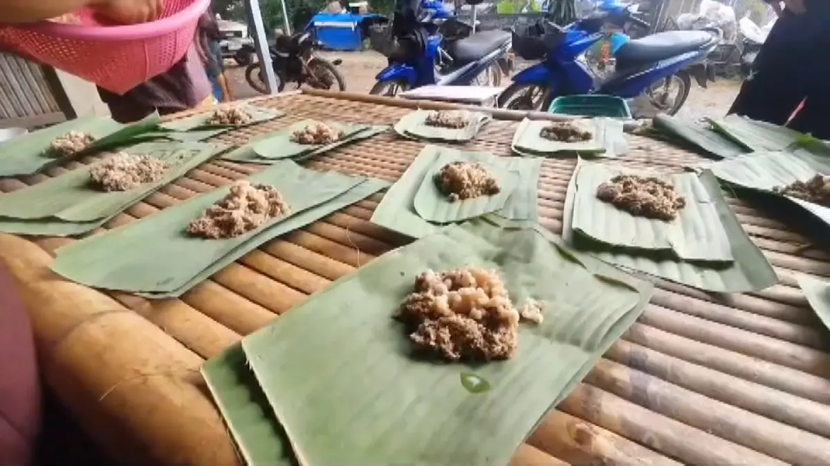 ขุดไข่แมงมันทำเงิน 2 พันบาท/วัน