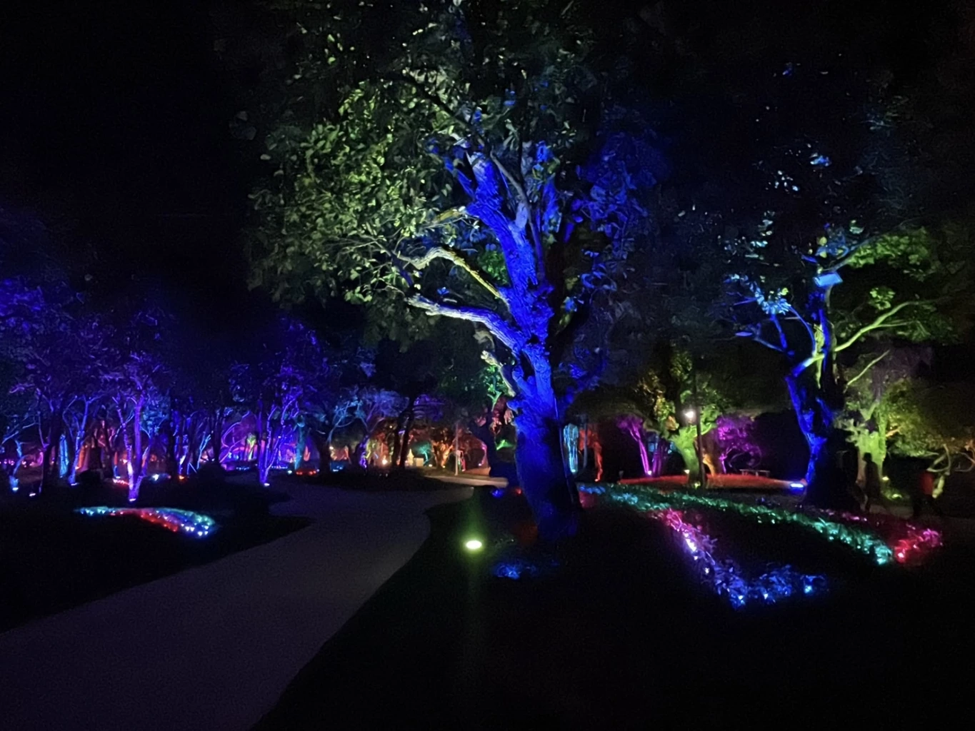 นายก อบจ.เชียงราย เชิญชวนเที่ยวงาน "มหกรรมไม้ดอกอาเซียน 2021"