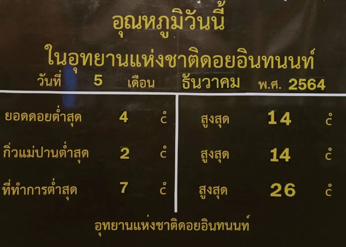 นักท่องเที่ยวเฉียดหมื่น แห่ชม “เหมยขาบ” (แม่คะนิ้ง) ณ ดอยอินทนนท์
