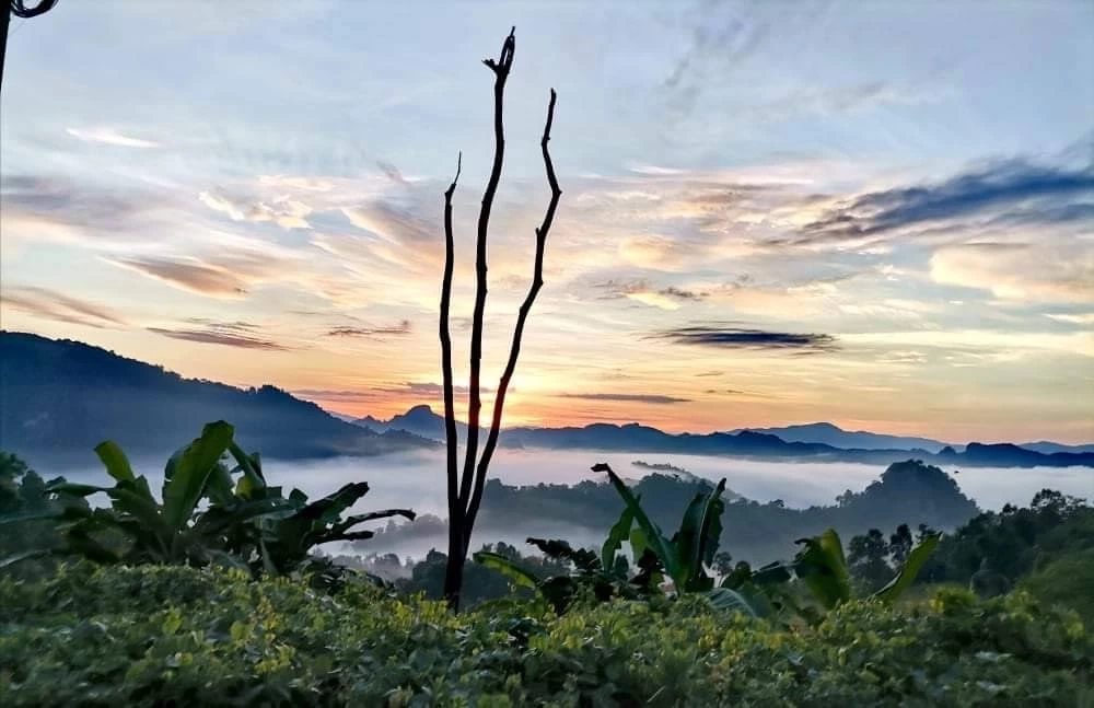 แจกพิกัด! เส้นทางสายธรรมชาติ สัมผัสหมอก-ชมพระอาทิตย์