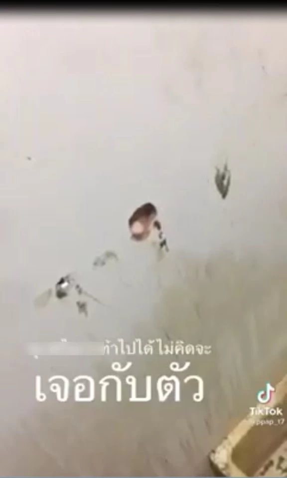 ผงะ! เจอ "นิ้วปริศนา" โผล่ทะลุรูในห้องน้ำสาธารณะ 