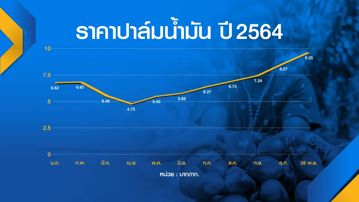 ผู้ปลูกปาล์มบุกพลังงาน ‘ค้าน‘ ปรับสูตรดีเซล