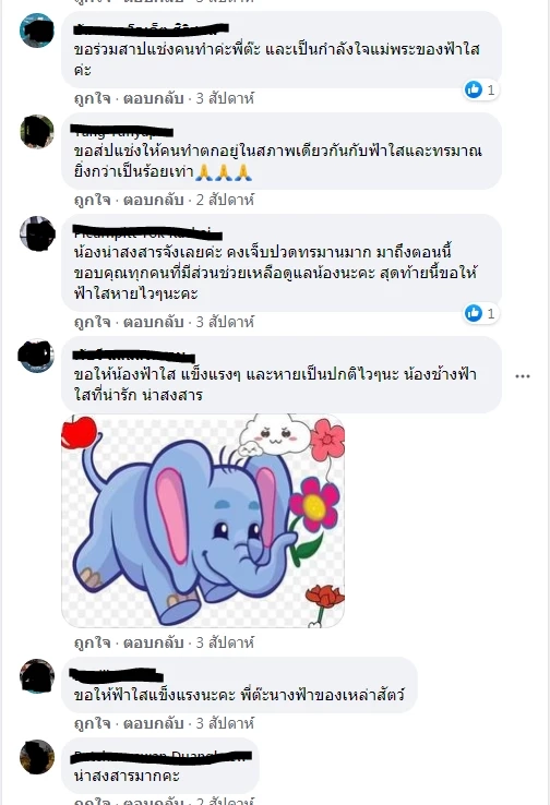 ต๊ะ นารากร โพสต์เศร้าหลังทราบข่าวช้างน้อยวัย 3 เดือน พังฟ้าใสตายแล้ว