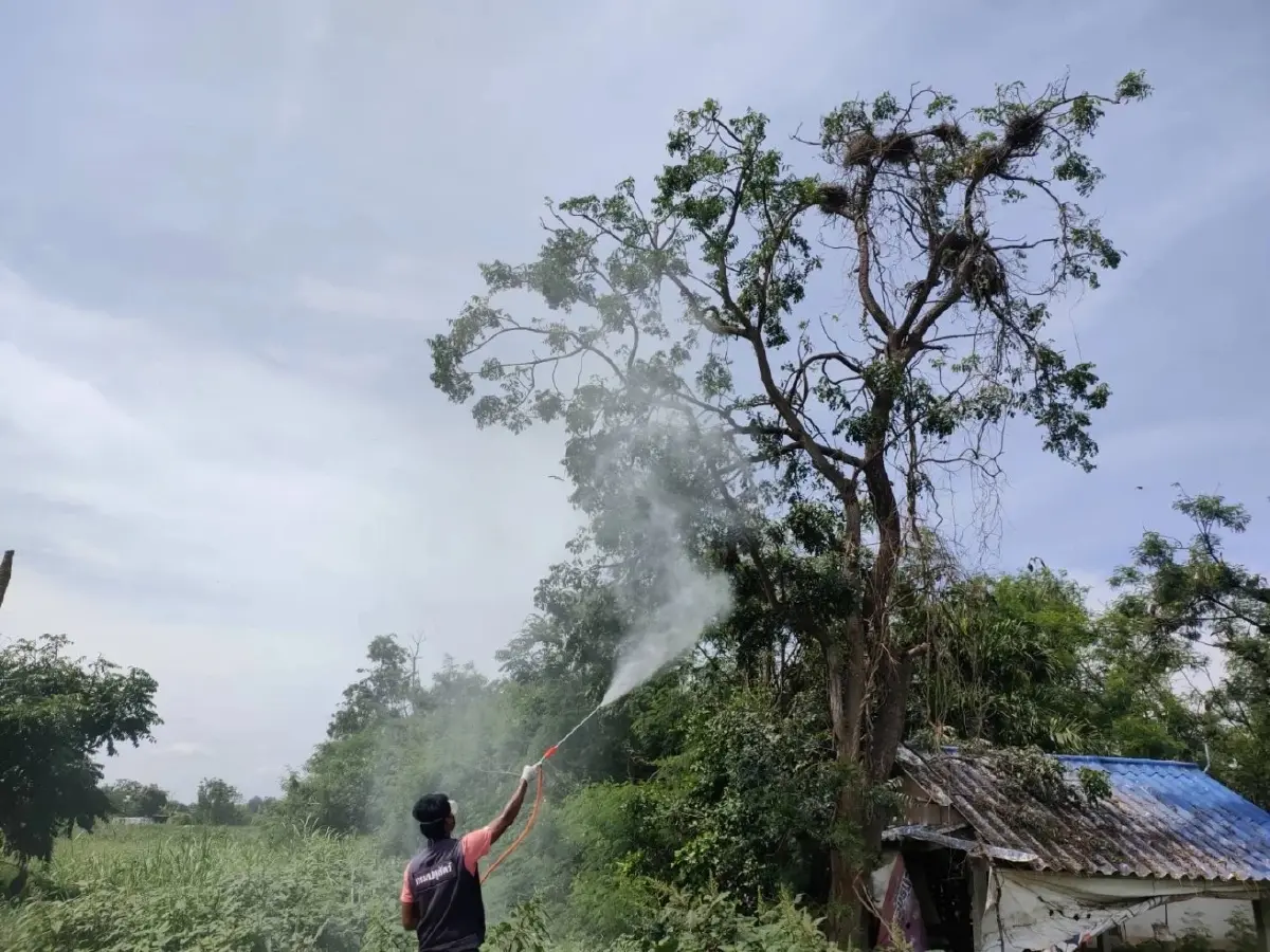 อธิบดีกรมปศุสัตว์ แจ้งเตือน หลังมีข่าว จีนพบเสียชีวิตจากไข้หวัดนก H5N6