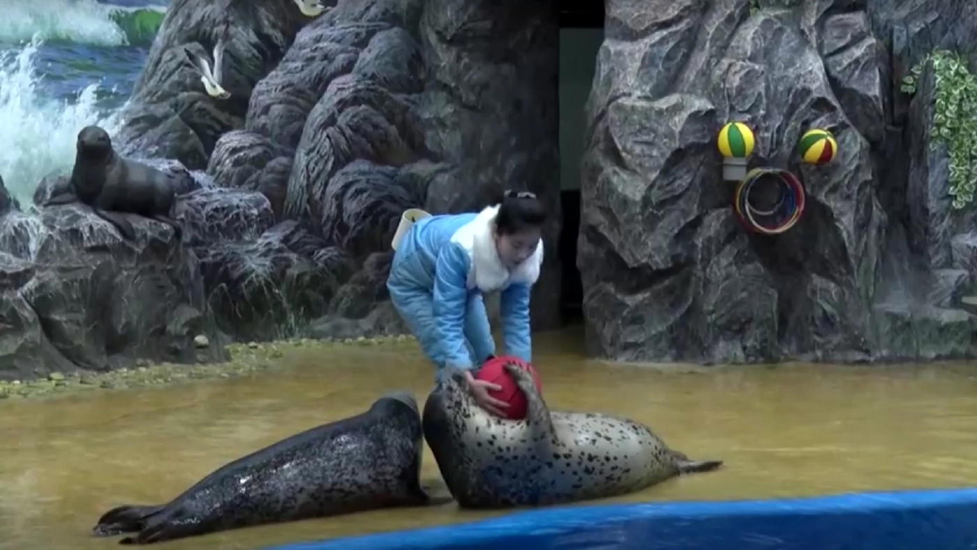 ส่องสวนสัตว์กลางในเกาหลีเหนือ ได้รับความนิยมจากเด็ก-ประชาชน