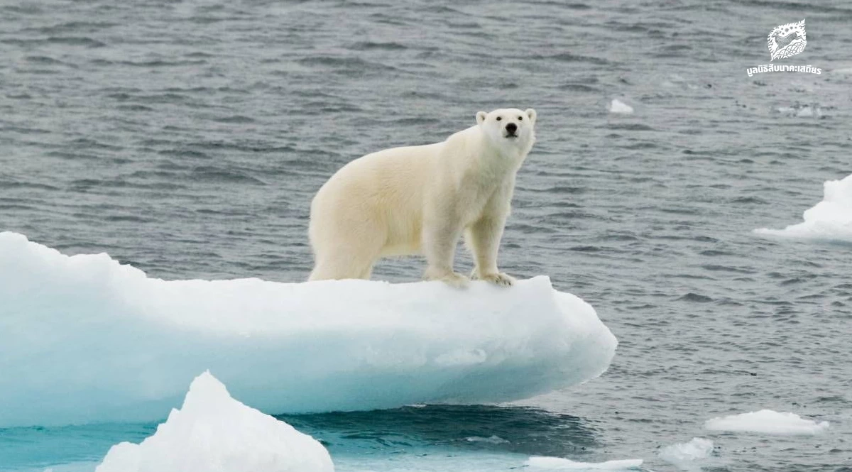 เปิดจุดขายใหม่ระดับโลกของประเทศไทยกับ “พลังงานสะอาด”