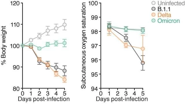 "ดร.อนันต์ "เปิดผลทดสอบ ATK 7 ยี่ห้อ ตรวจ "โอมิครอน" ได้