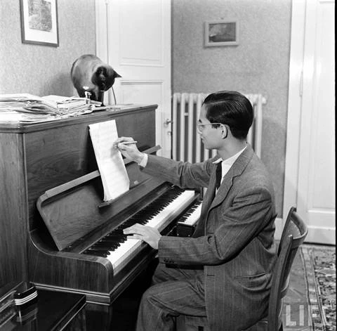 พรปีใหม่ พรจากคนบนฟ้า พรจากในหลวงรัชกาลที่ ๙