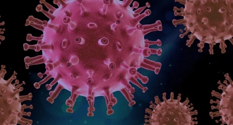 “แรมโบ้” ซัด “เพื่อไทย” ว่างมากปมขอภิปราย “นายกฯ” ม.152