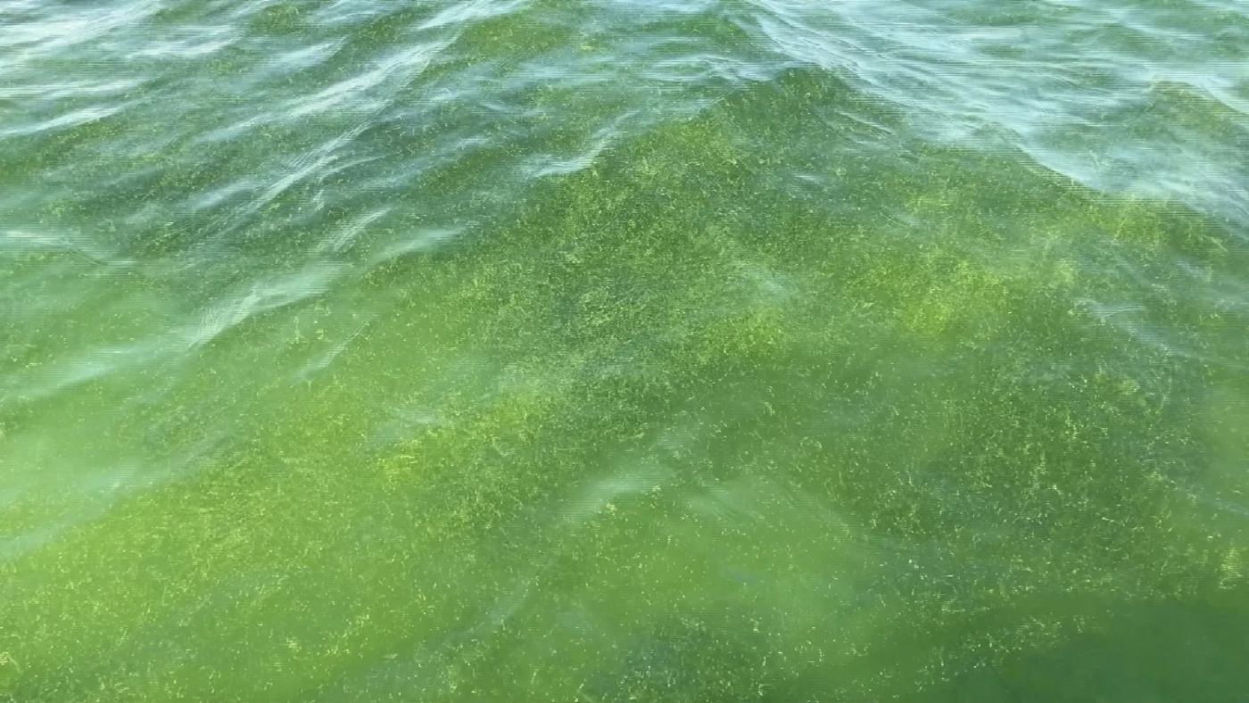 พบคราบน้ำมันกลางทะเลสมุย คาดมาจากเรือสินค้าที่จม