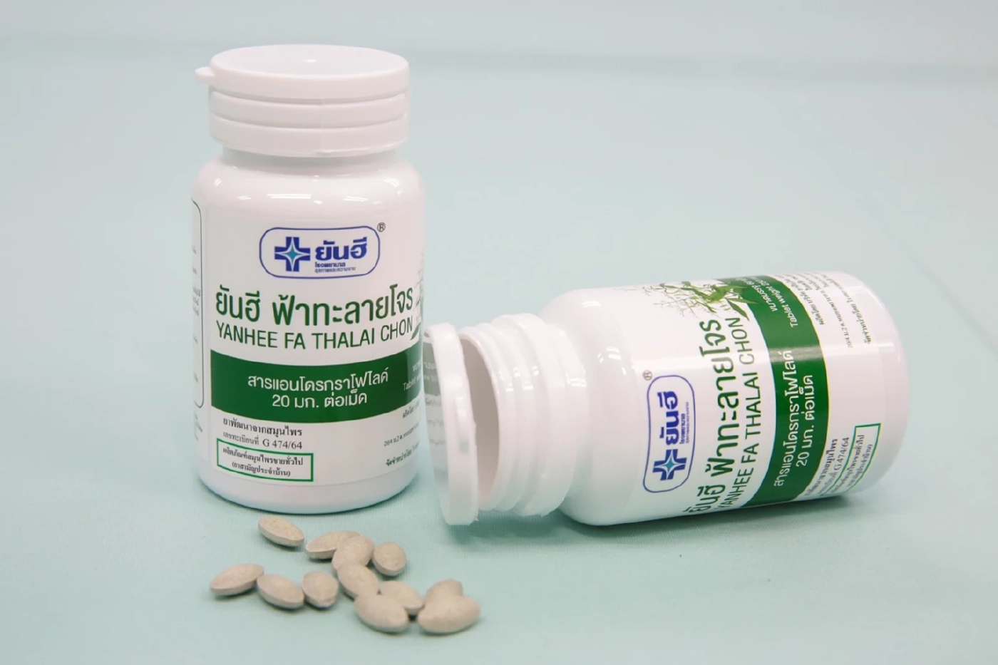 รพ.ยันฮี แจก "ฟ้าทะลายโจร” ให้ผู้ป่วยโควิด-19 ฟรี! 5 แสนเม็ด