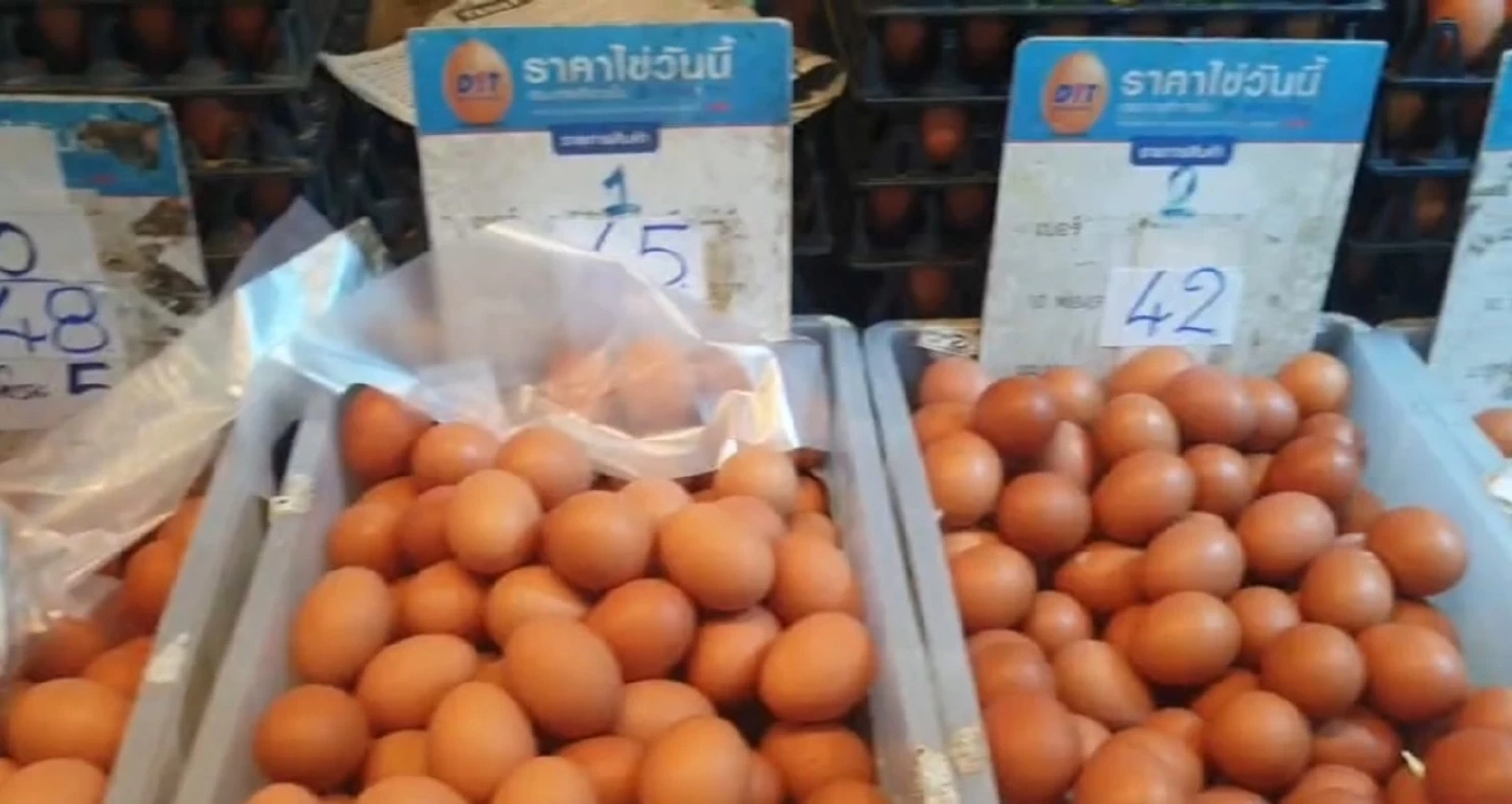 พาณิชย์เอาจริง! จับร้านค้าขายไข่ไก่เกินราคา